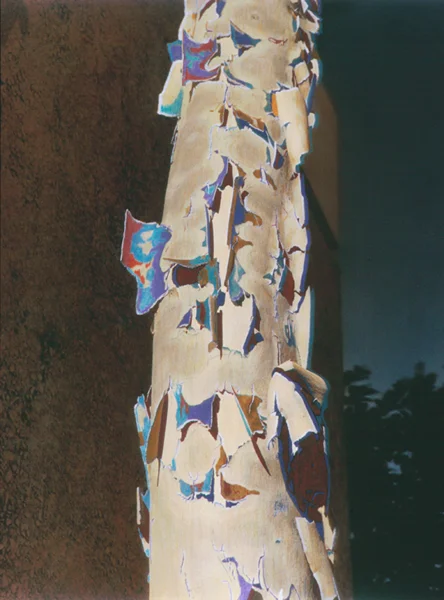 Totem