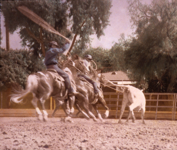 The Last Roundup