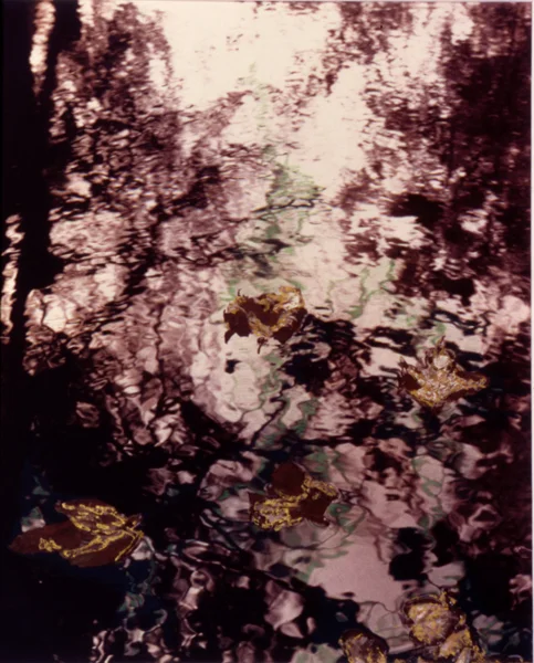 Vestiges