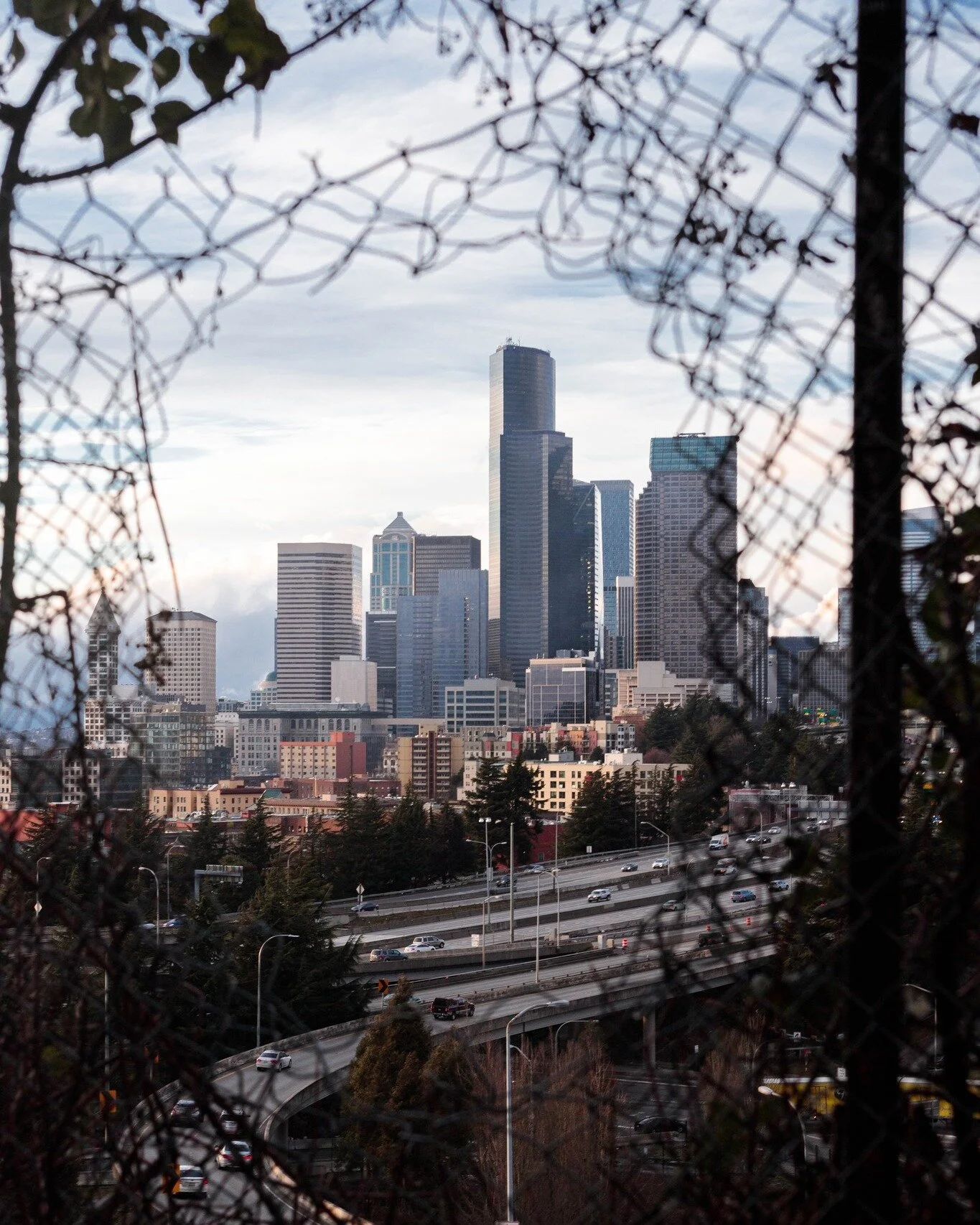 City through the fence hole

#seattle #skyline #seattleskyline #pnw #pacificnorthwest #urban #cityshots #washington #downtown