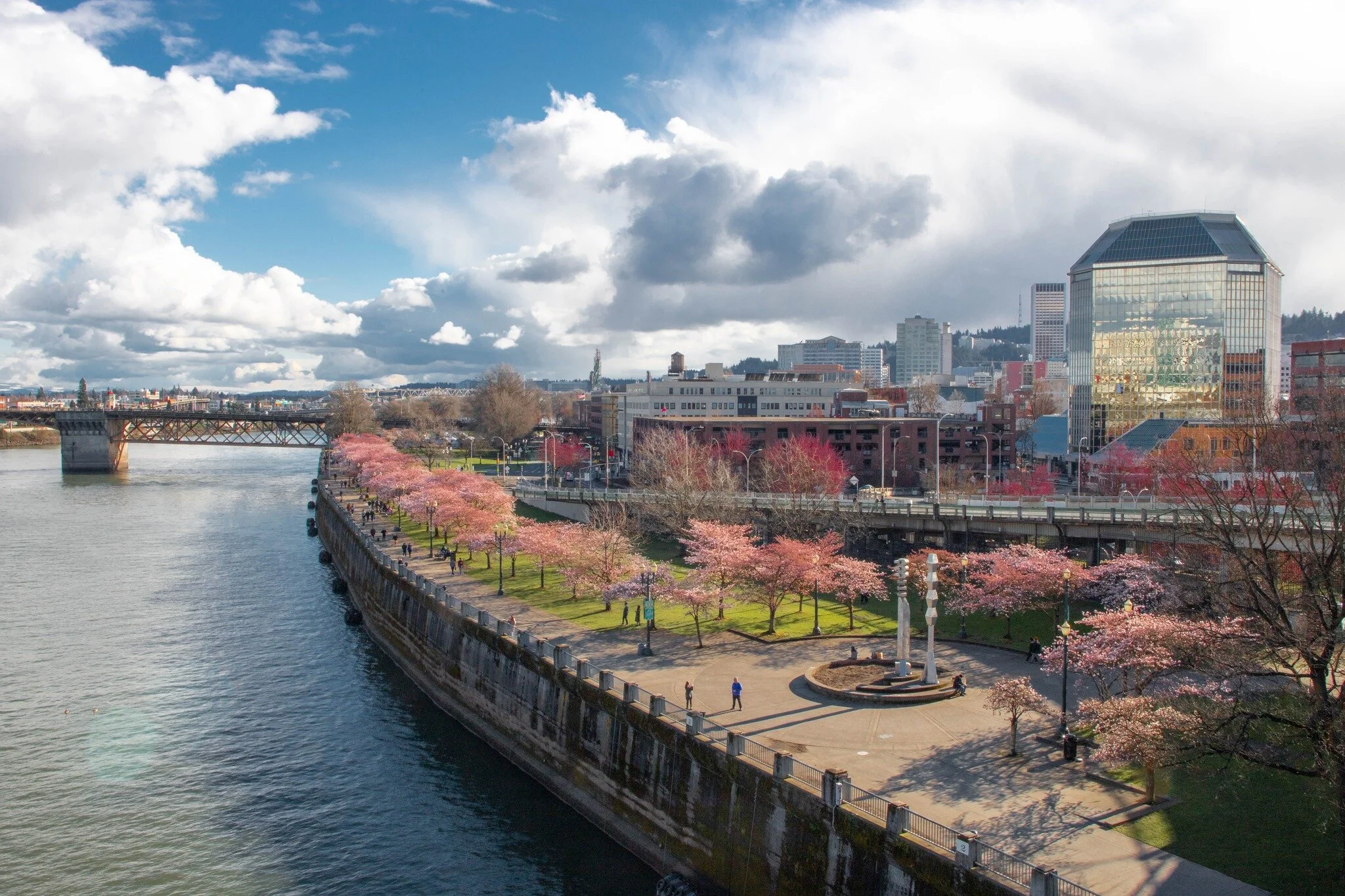 I've been lucky enough to travel around and see loads of spring flowers and blooms. Here are the pink cherry blossoms at Tom McCall Park in Portland, Oregon; a sight that has been on my to-do list for years!

#spring #portland #oregon #portlandoregon
