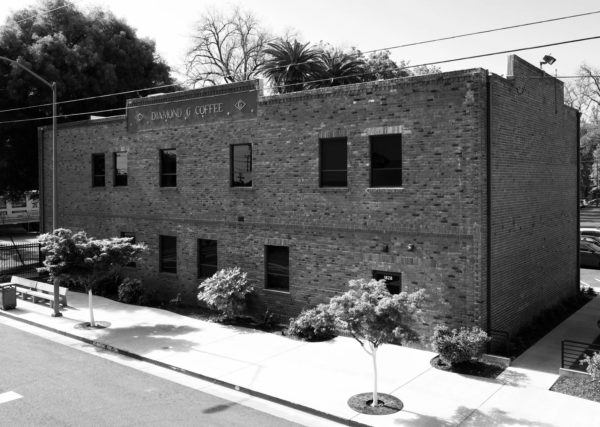 Diamond G Gallery