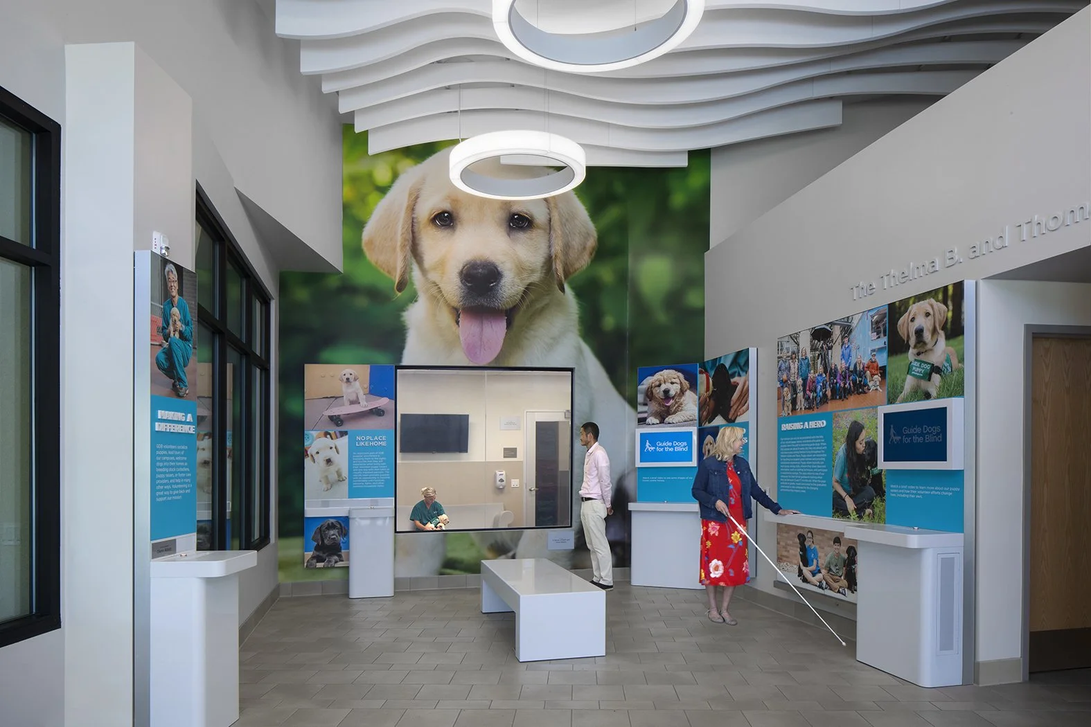 B4003_Guide-Dogs-for-Blind_34-1.jpeg