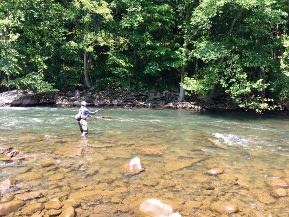 Big Bend Campground Everything Wv