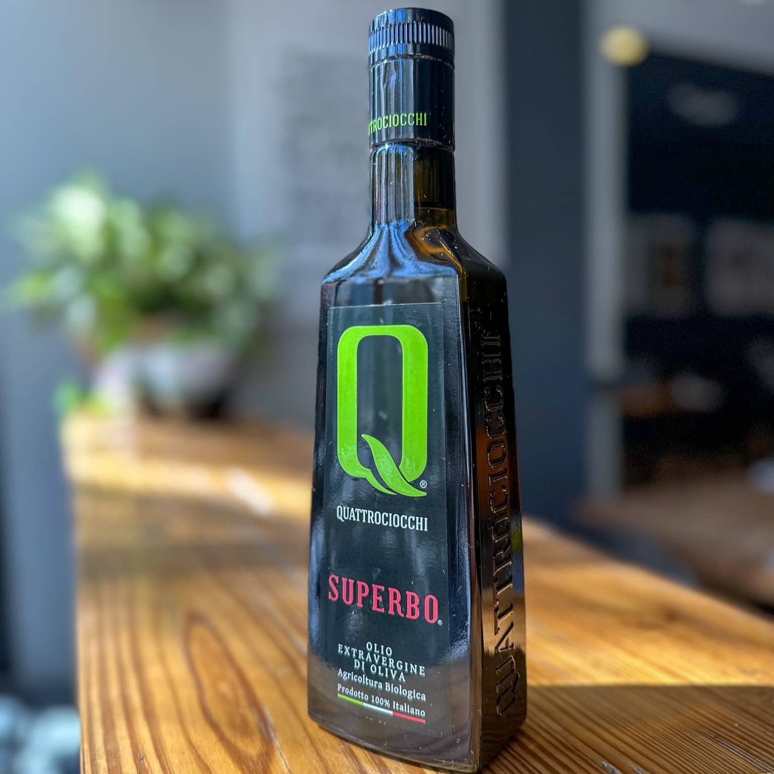 Quattrociocchi Superbo