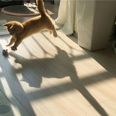 angel.jpg
