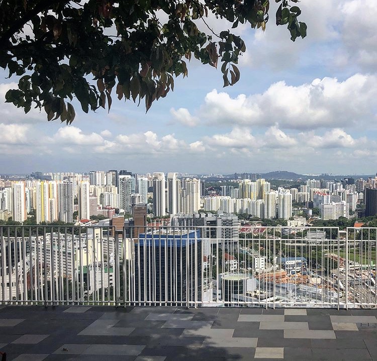 Singapore Skyline at The Pinnacle@Duxton