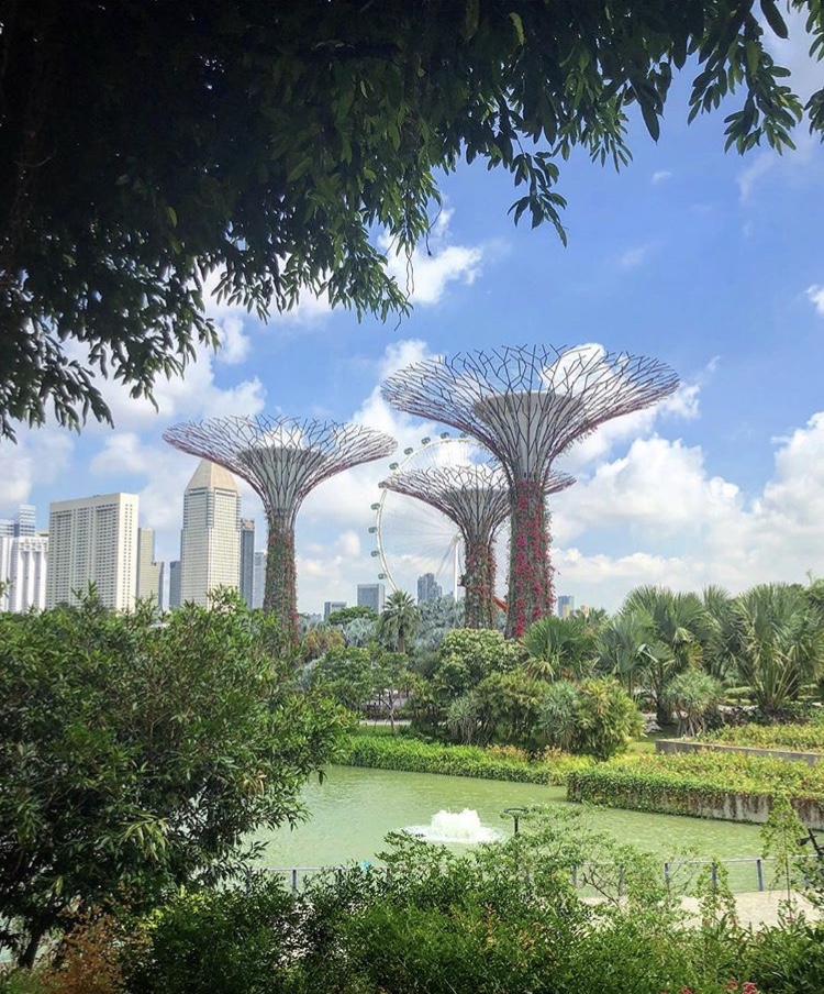 Supertrees, Singapore