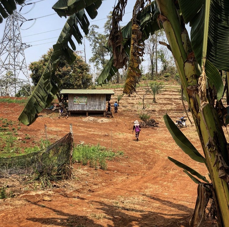 Radside Stand, North Thai Countryside