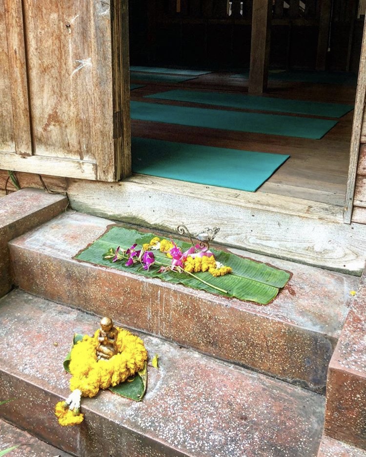 Wild Rose Yoga Studio, Chiang Mai