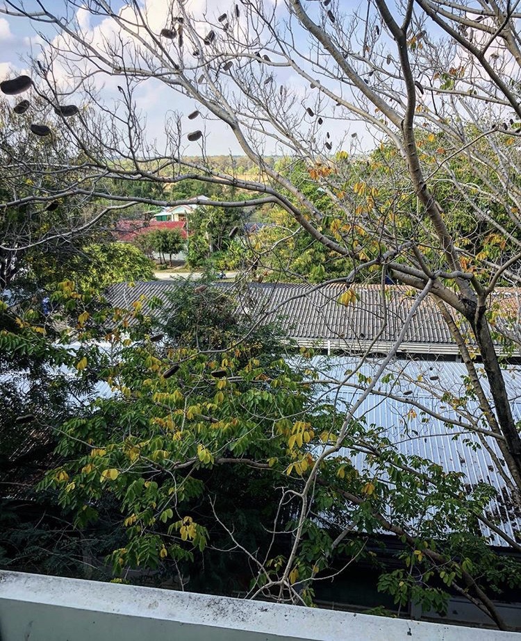 View from the Classroom