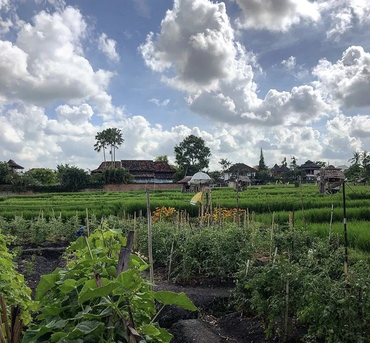 Indonesia