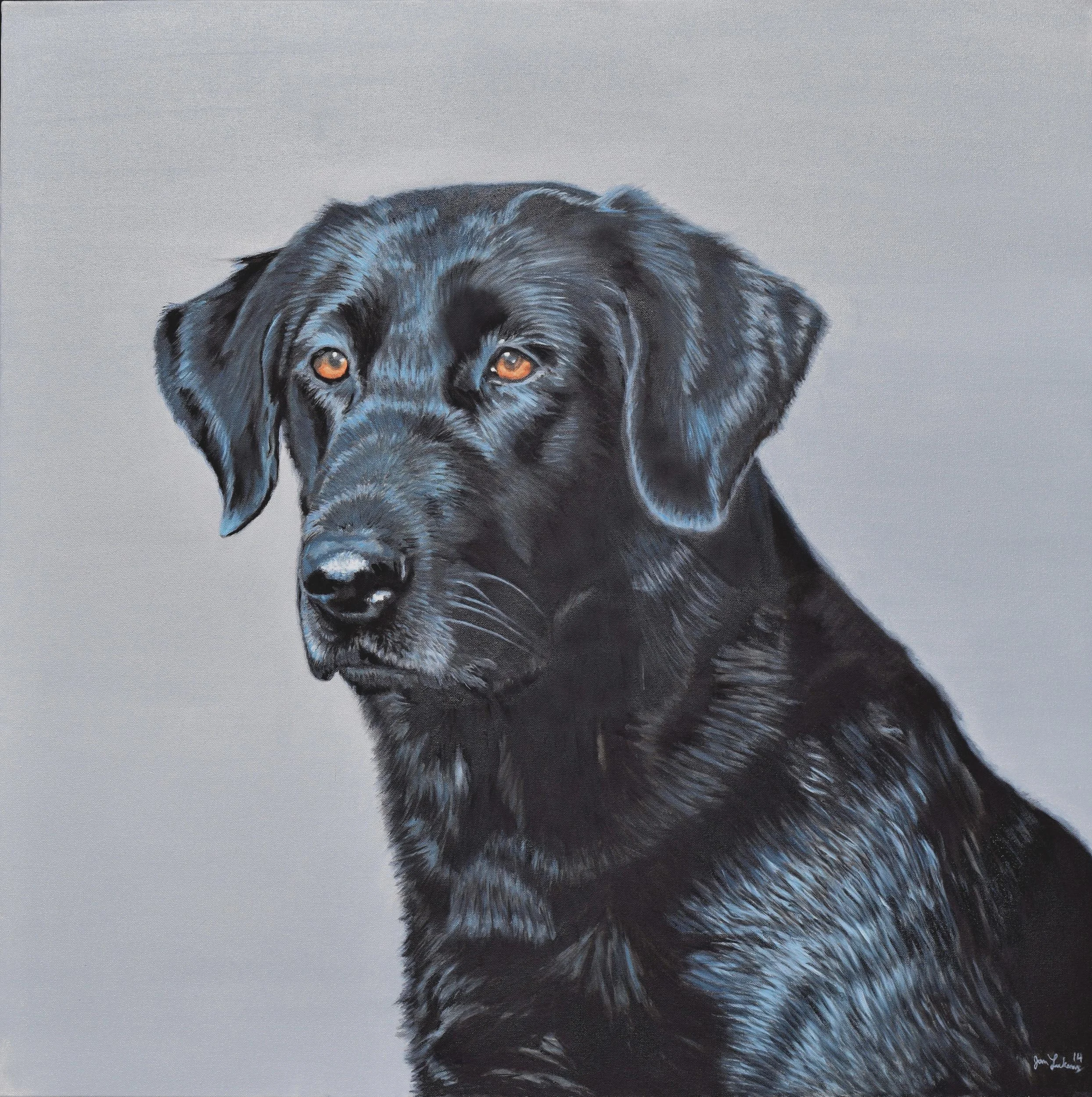 Black Lab I