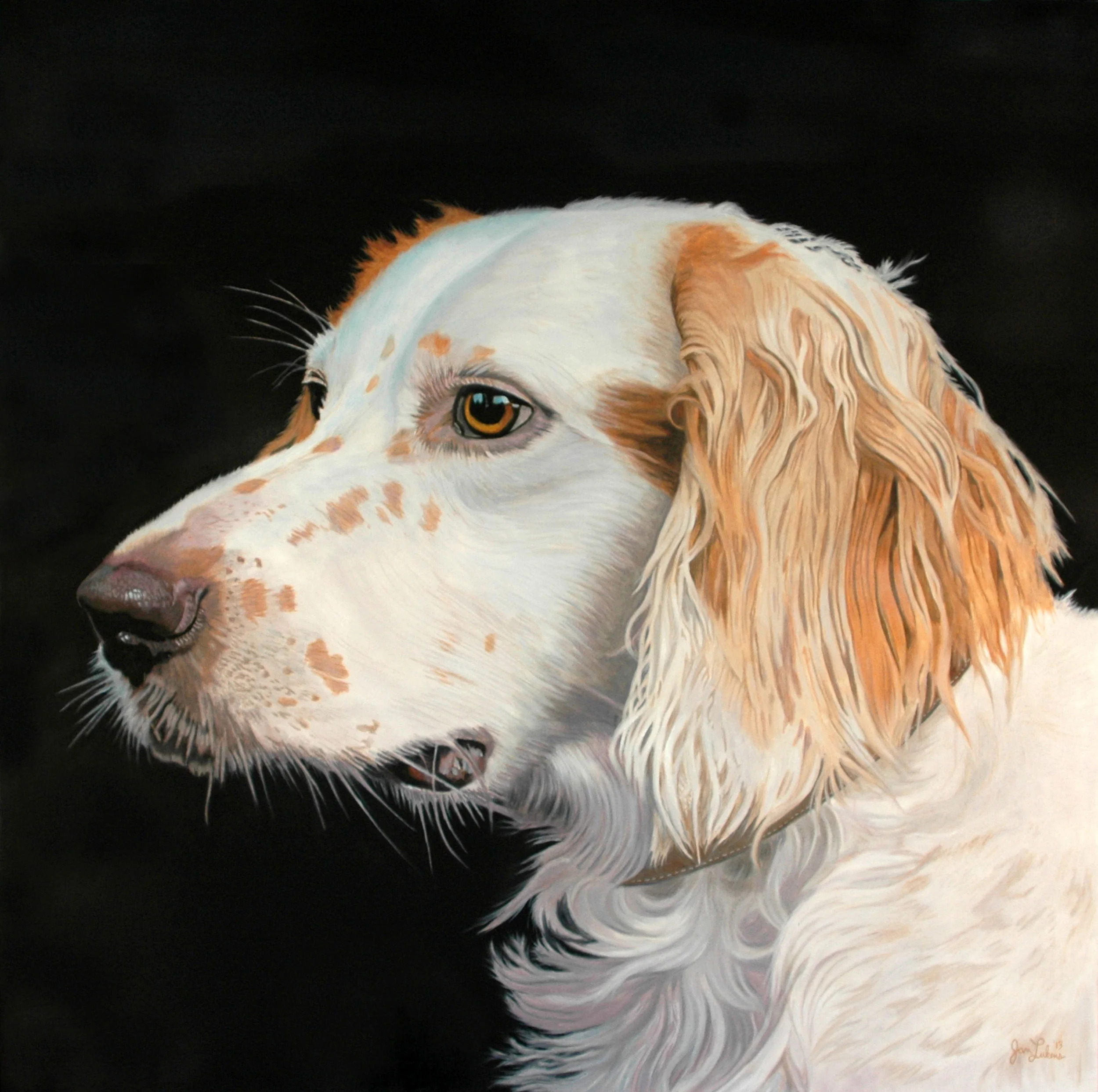English Setter on Point I