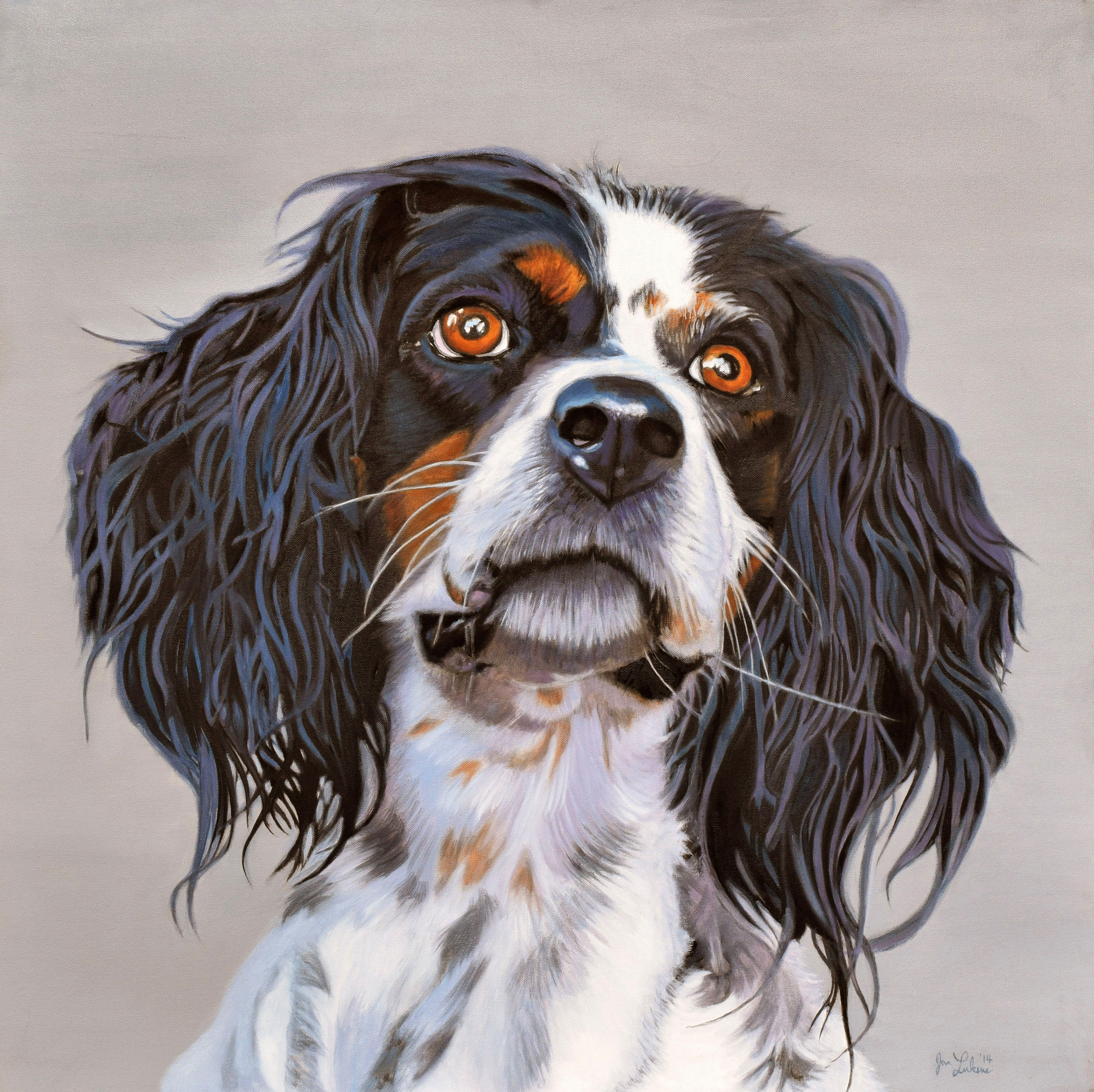 English Setter on Point II