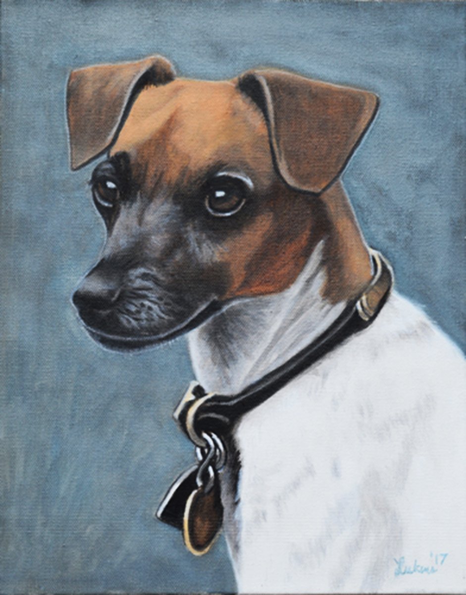 Jack Russell VI