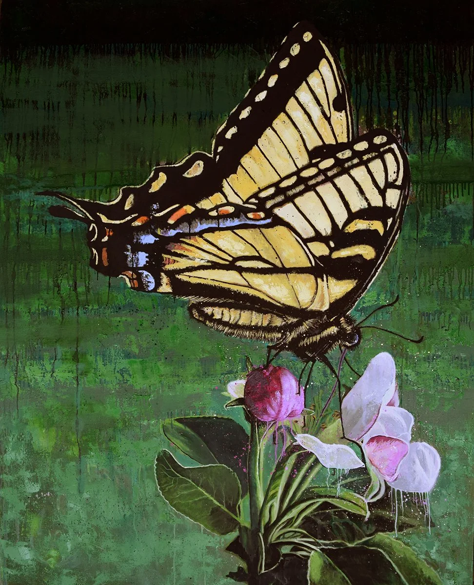 A 1 ST on AB rev, final ptg 2 18 26 WS.jpg