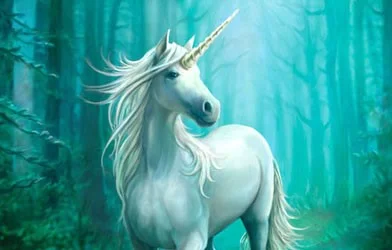 unicorn3.jpg