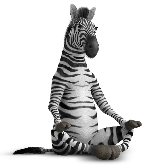 findzen_zen.png