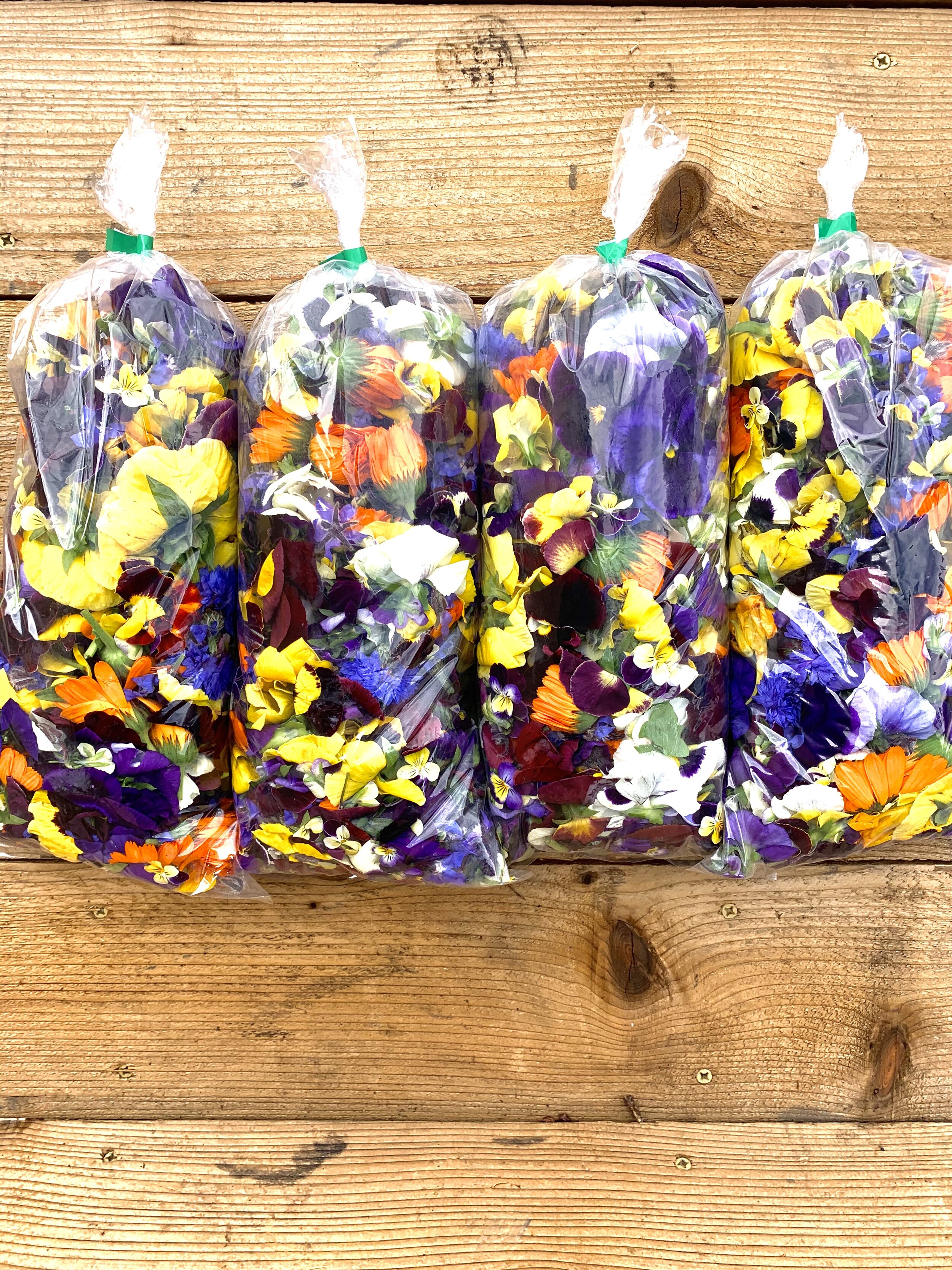 large bags of vivid flower mix