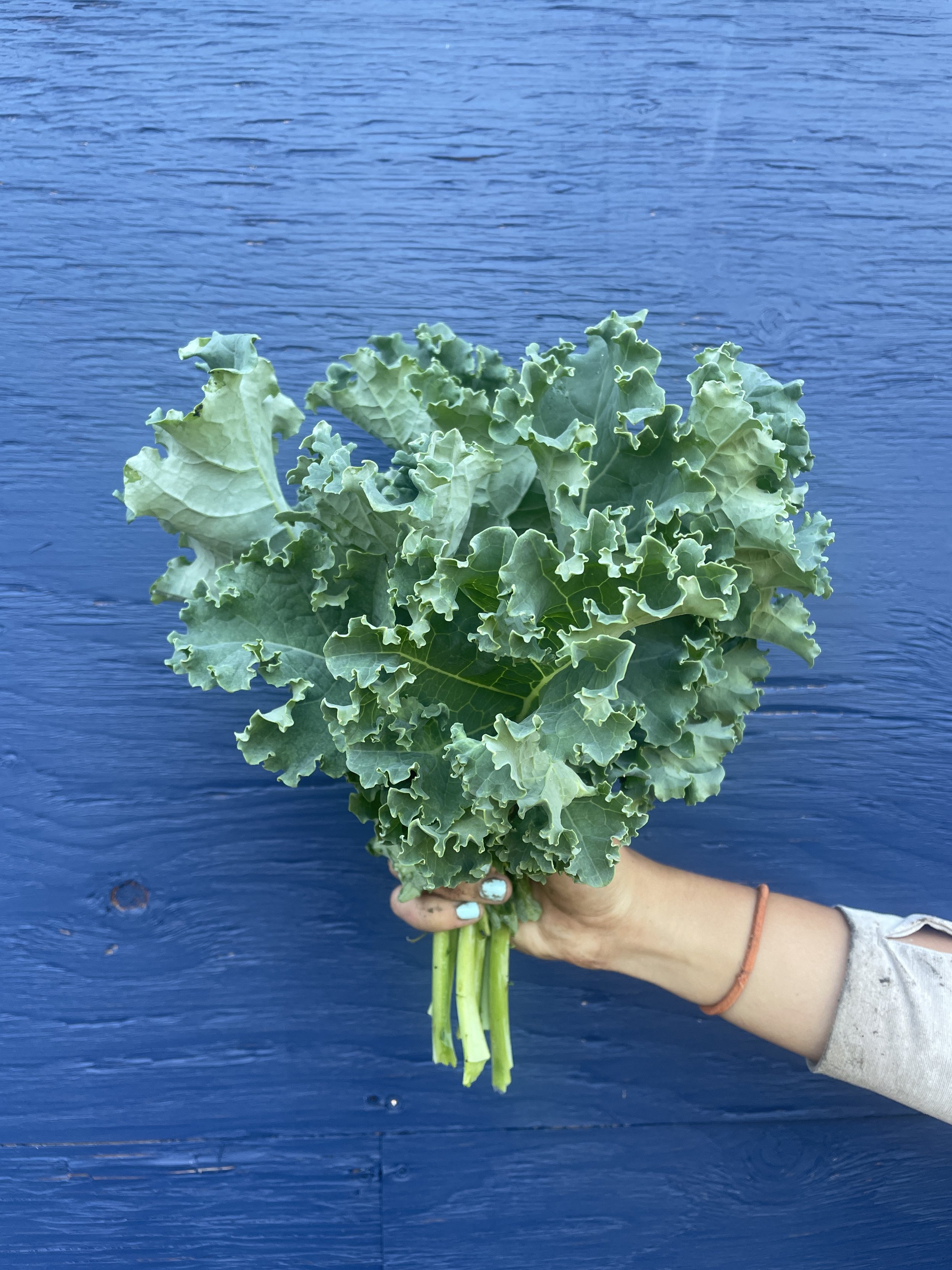 curly kale