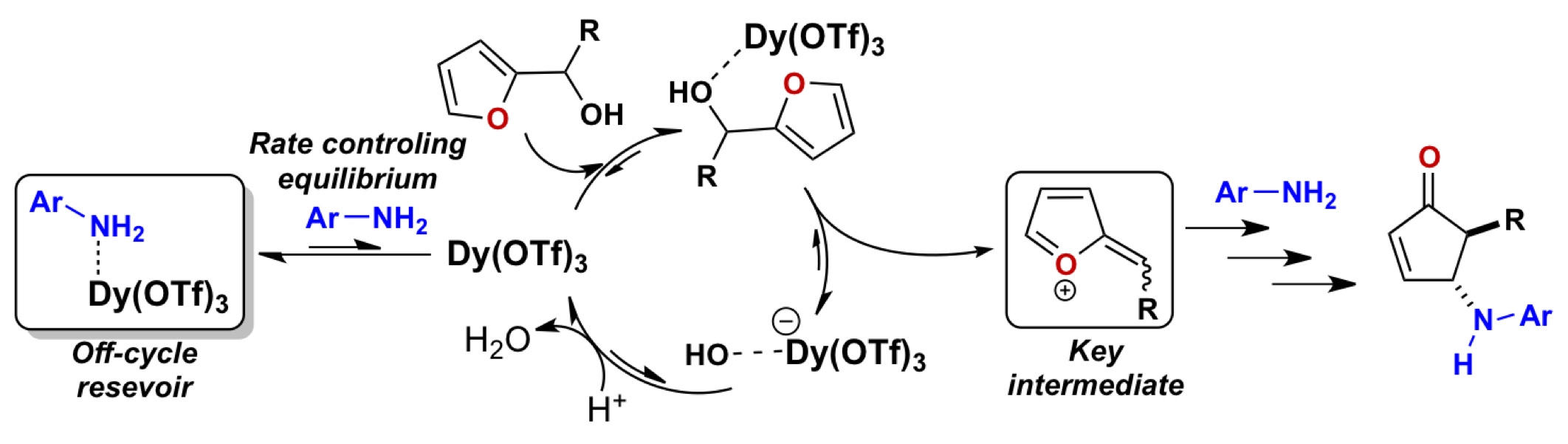 TOC (25).png