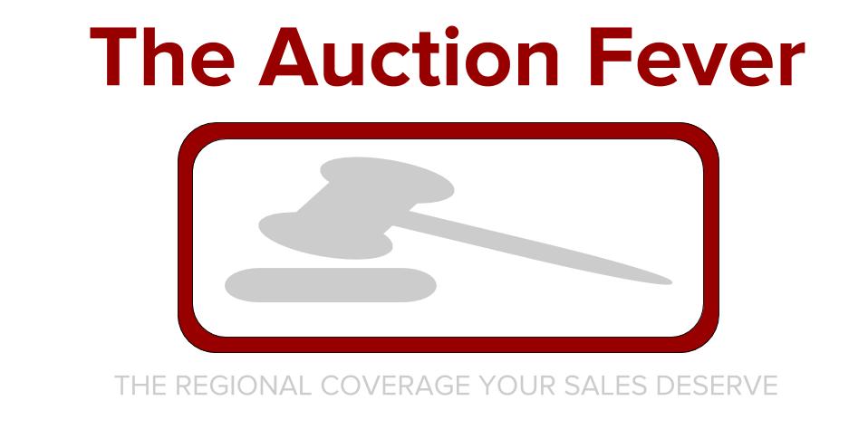 The Auction Fever