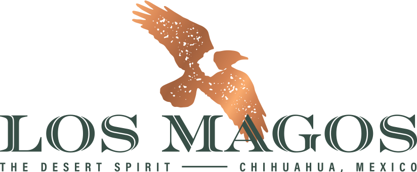 los-magos-large-logo.png