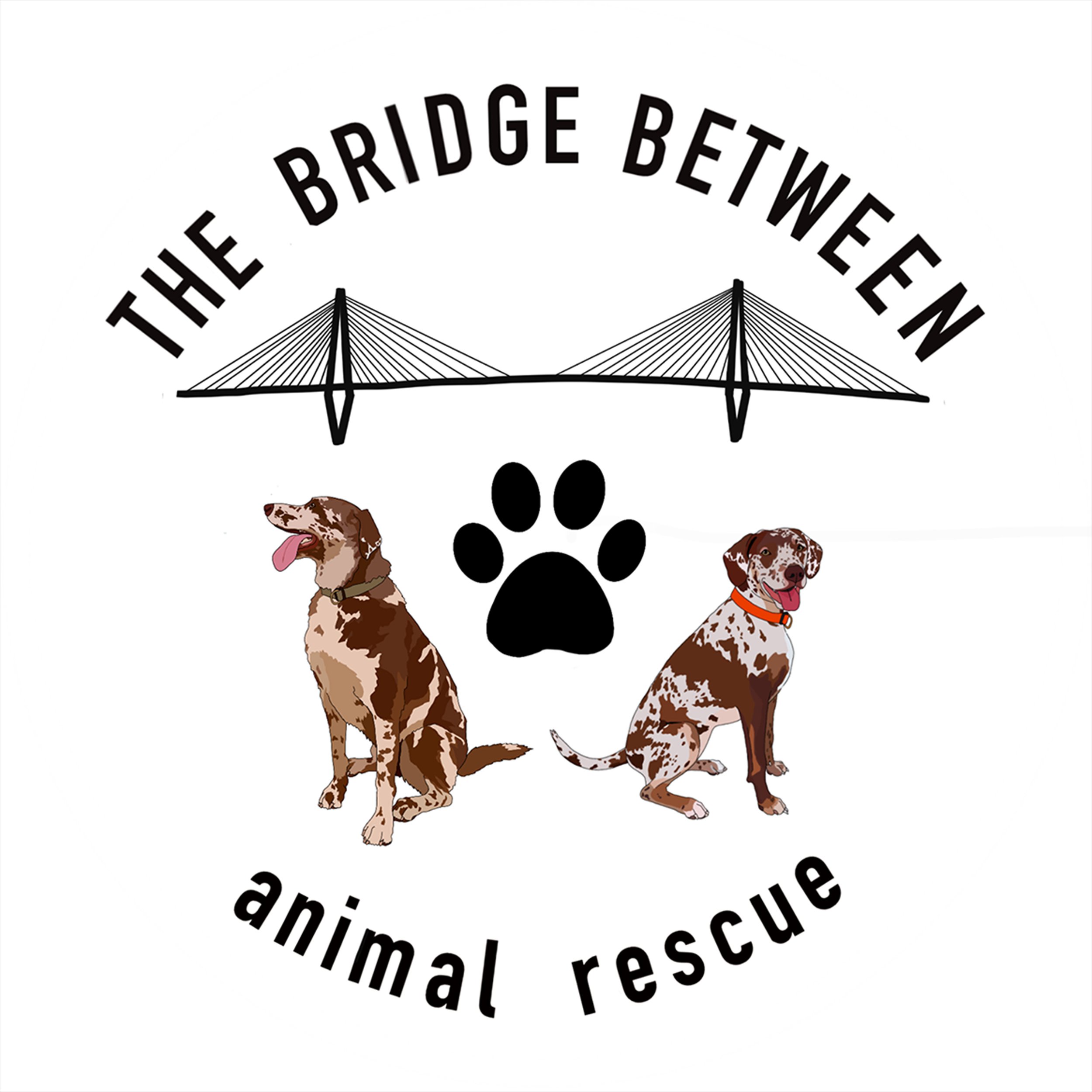 Bridge Between logo.jpg