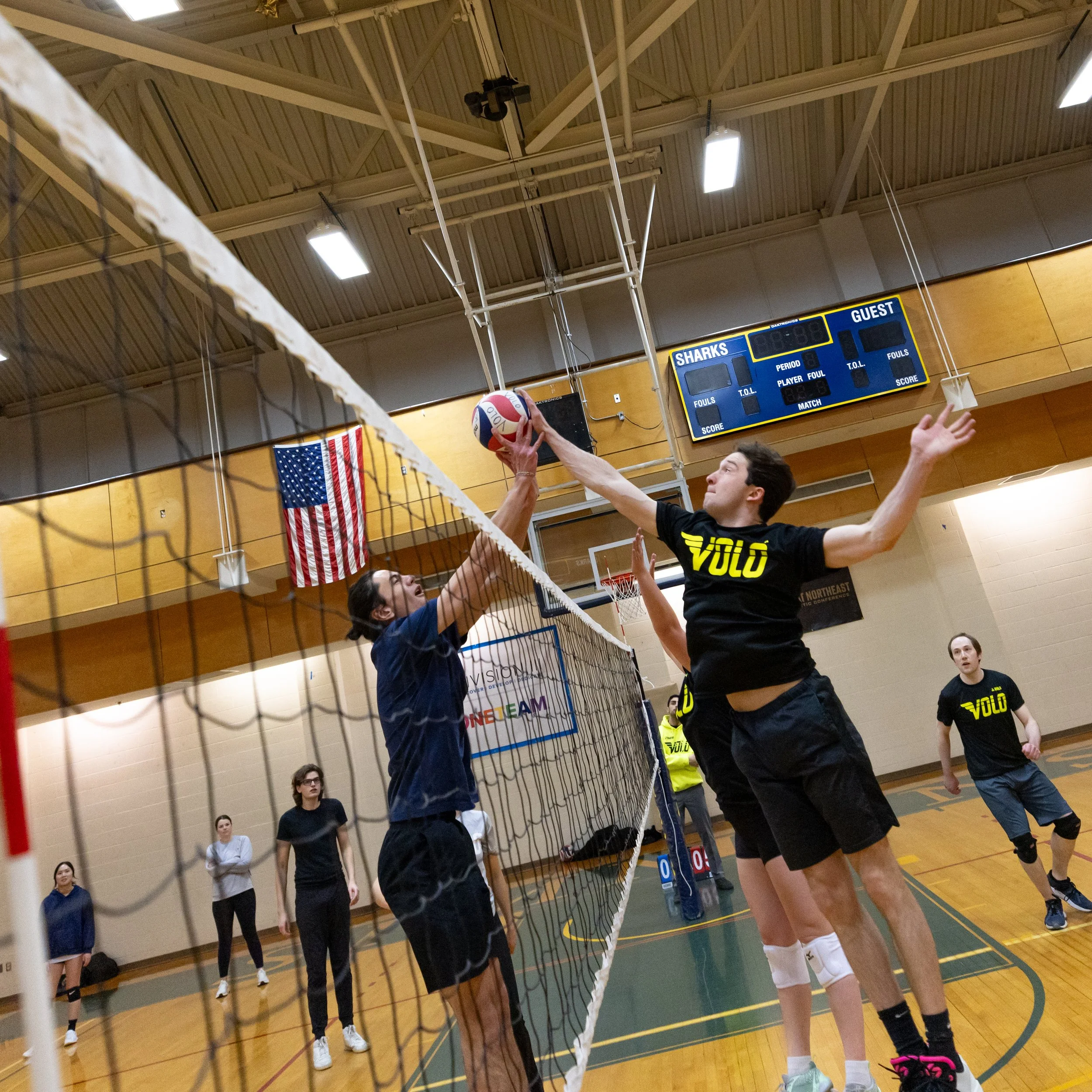 VOLO-volleyball-12-18-25-25.jpg