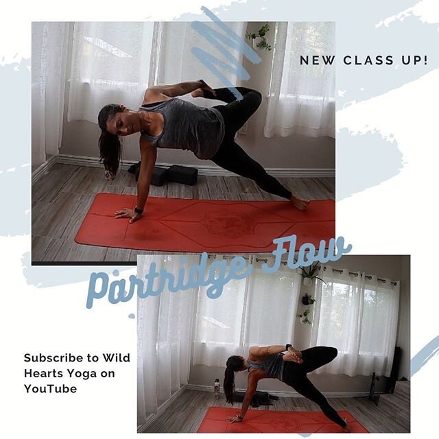 Have you ever tried Partridge? I love this pose because it has so much going on- core work, balance and a backbend. In my new 60 minute class now up on YouTube, I break down how to get into the fullest expression of the pose and also give you steps a