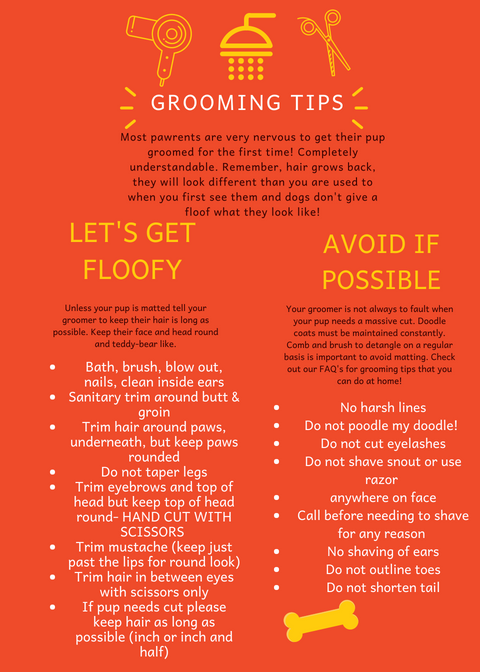  Ok, as a doodle mom I take a lot of pride in Pax's hair. I comb, brush, dematt him 1-2 times a day. I often get asked what I use, How I use it, best products, and what to tell your groomer when you go. Luckily, I have found a doodle hair angel named Tasha here in San Diego. If you live in the area make sure to check her out at Dunk n Dogs in Clairemont. Tasha is patient, has excellent communication skills, and listens to everything us crazy dog mom's want. Most importantly she absolutely loves the dogs. Before I found Tasha I cut pax a bit by myself around his eyes but wasn't really sure what to do next for the rest of his coat. I have compiled bullet points of the top wanted and unwanted details to share with your groomer. The best advice I would share with you is to find pictures of dogs hair you like and dogs hair that you dislike and show it to your groomer. Remember, communication is key. You cannot expect your groomer to know what you are thinking- it's the same with men, so this should come easy for some of you. Remember to always be OK with sharing your concerns and needs for the dog's spa day. If you don't feel comfortable or heard, it's OK to walk away too! Another big thing to remember when your dog get's a grooming session they are going to look different when you go pick them up. If they did not have to shave your pup down they will come out extremely fluffy and blow dried. Their coats will look different and it may be alarming. Remember, it is temporary, it is not forever, hair grows back, your baby is still your baby, and if you spritz some water on their coat it will wave back up a bit and look a little more textured. Stay tuned for all my favorite grooming products in another post! 