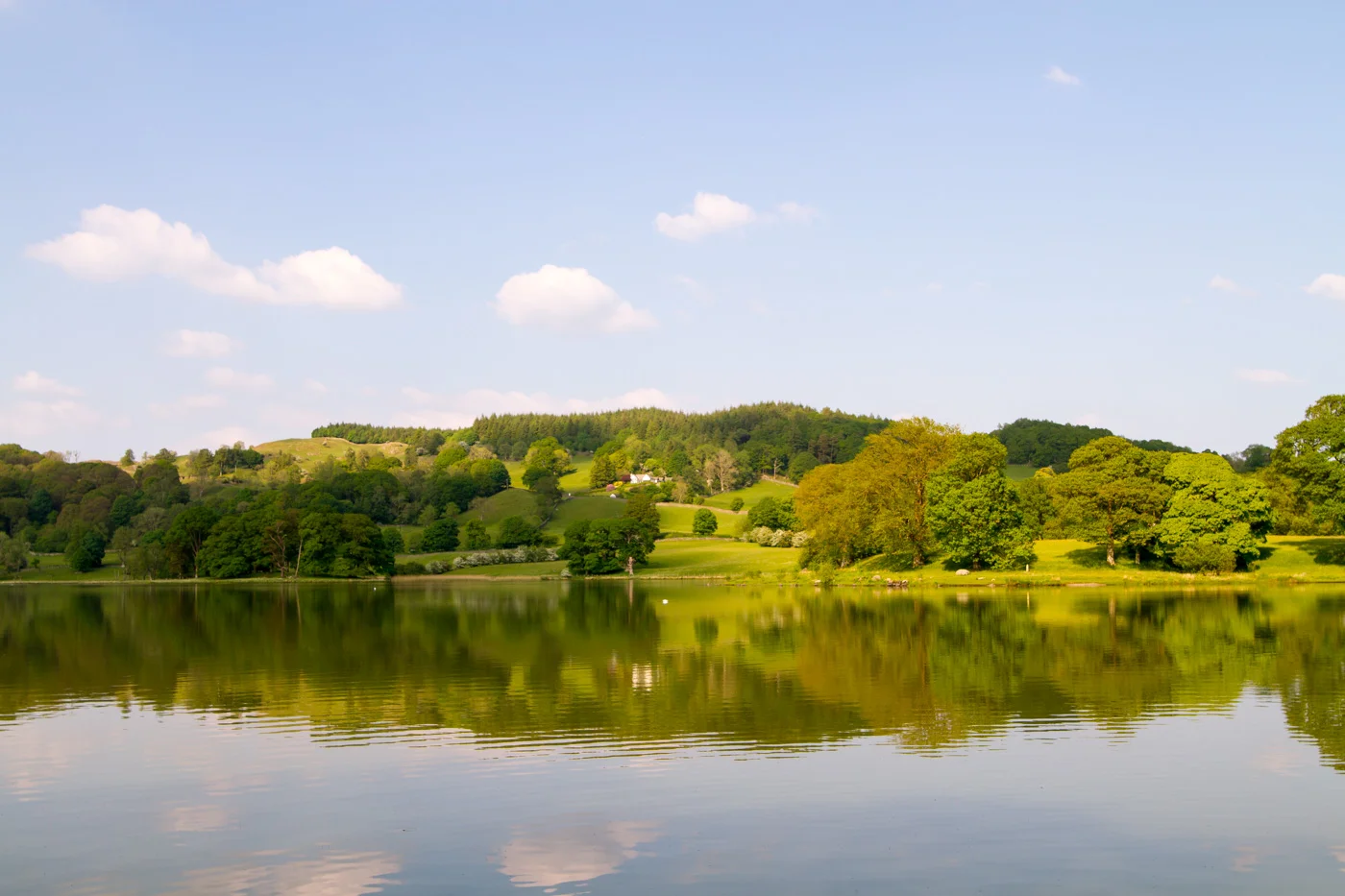 _MG_7647.jpg
