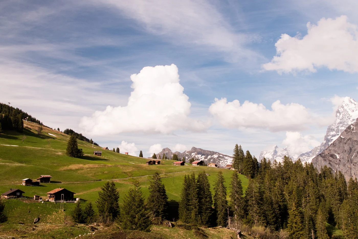 P1088134.jpg