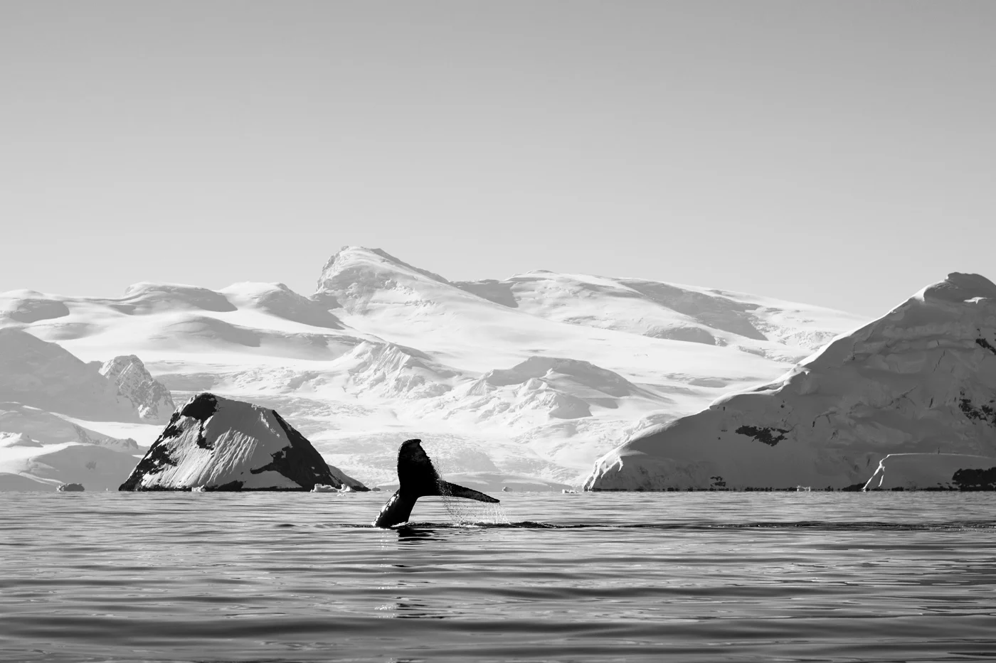 Whale Tail (Antarctica)