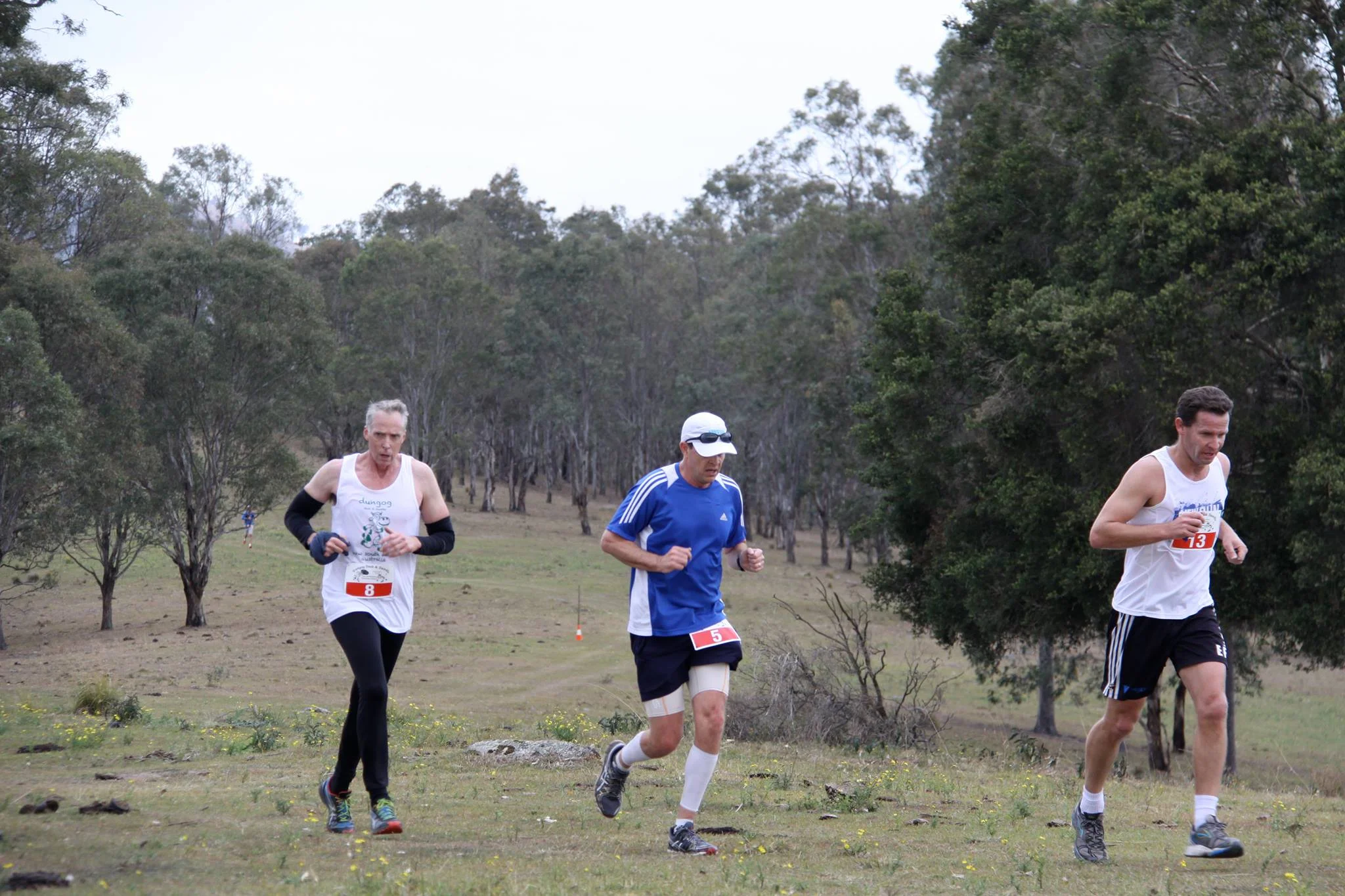 Runners in the 2017 Dash and Dawdle