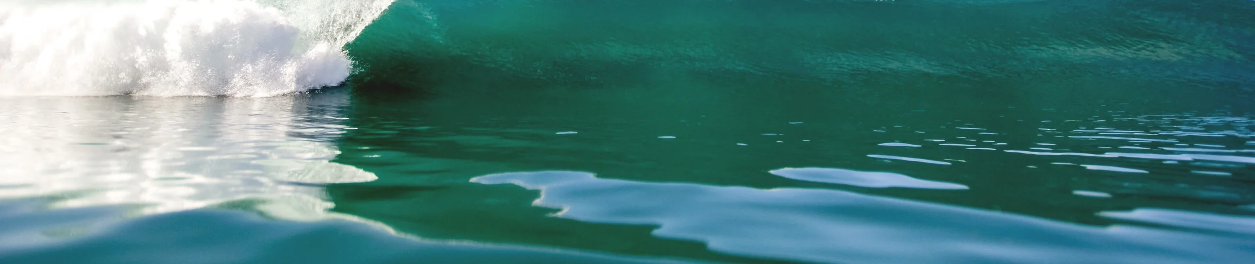 austin-schmid-28817-unsplash (1).jpg