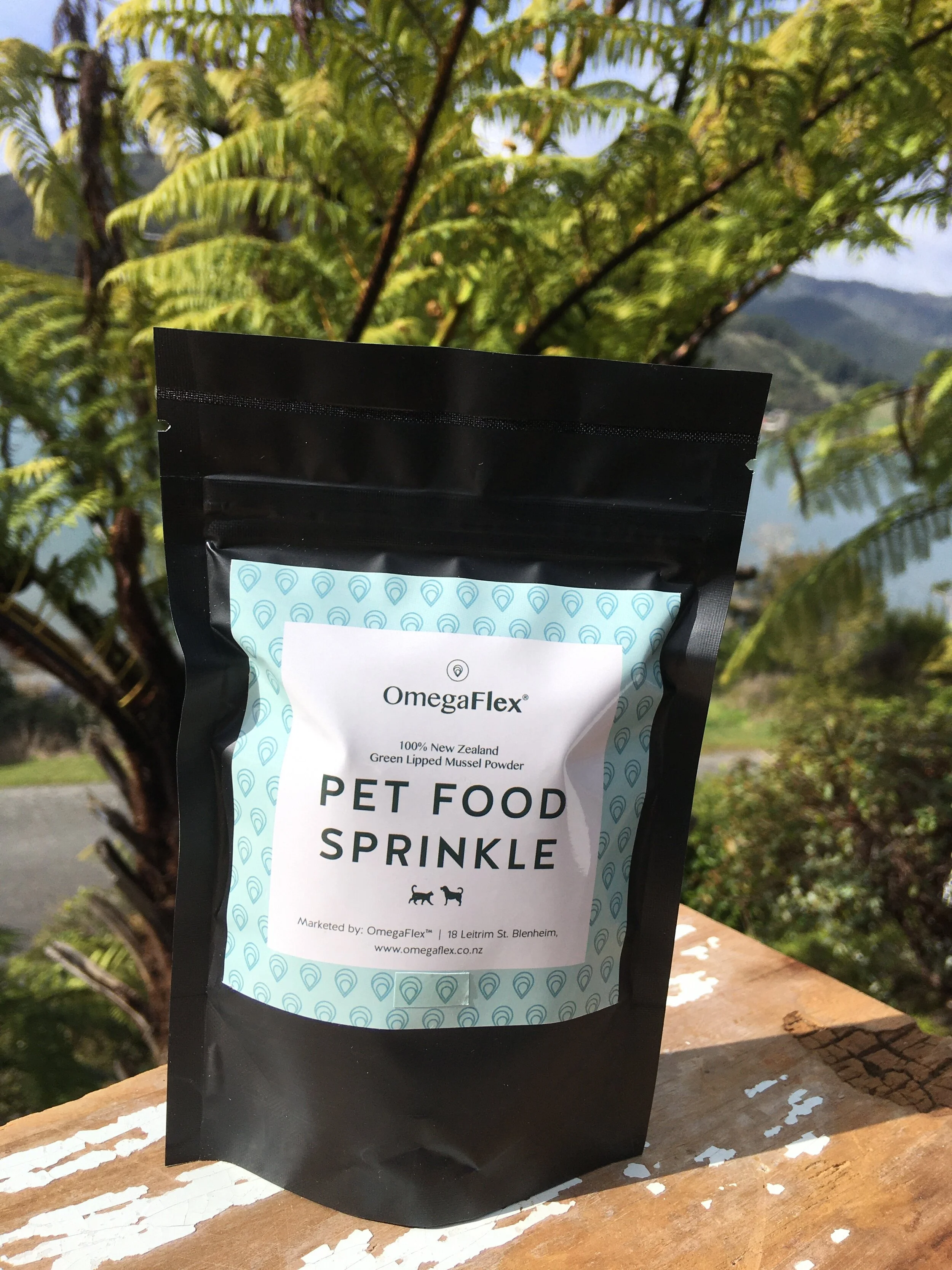 2020-08-21 11.03.55.jpg