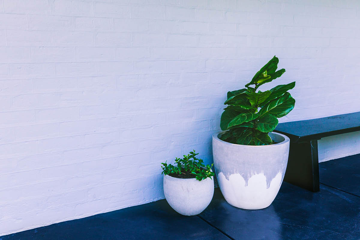 Johanna_Beaver_Landscape_Architecture_Perth_Western_Australia_Landscape_Designer_Garden_Design_Outdoors_Garden_Renovations_Plants_Backyard_ Eco_Garden_HOME_Gallery2.jpg