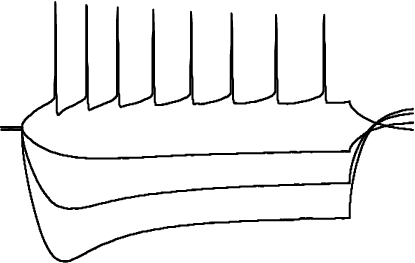 ephys2.png