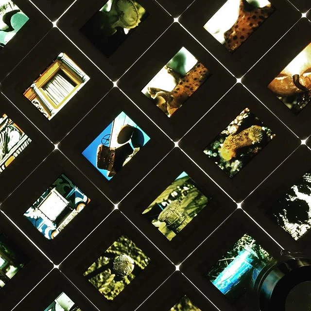 went to #omca ‘s Eames show today!