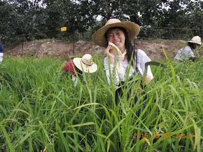 Meeting Korean Farmers Was My Dream