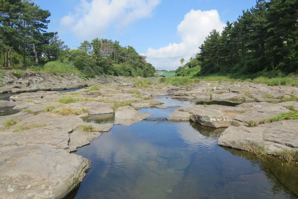 Against All Odds: Celebrating Life and Peace in Jeju Island