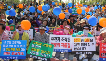 [식량주권과 농업] 생명과 유전자조작은 함께 할 수 없다