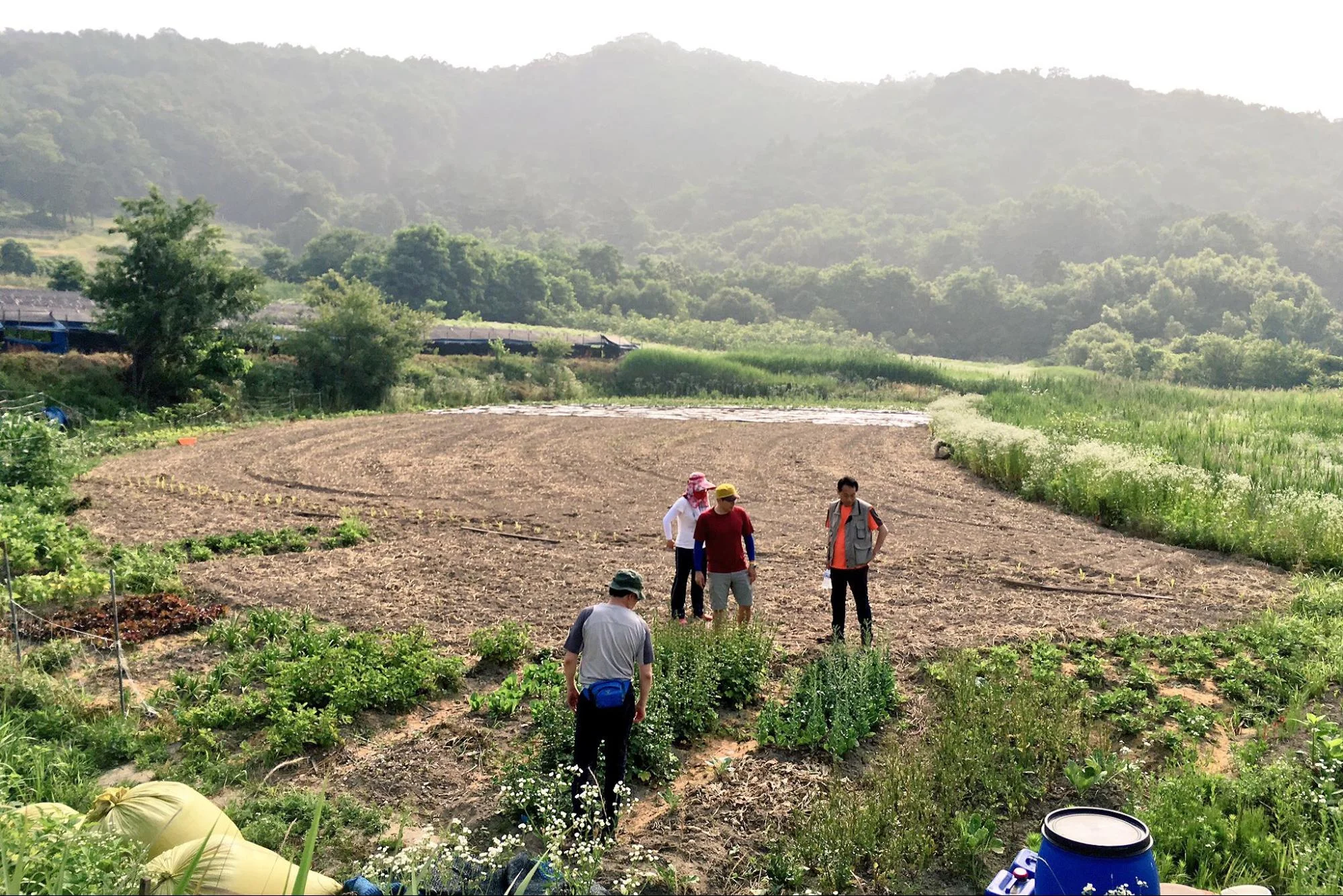 [ISC 소식] 6월 열린강좌: 논산 여름 농사체험활동