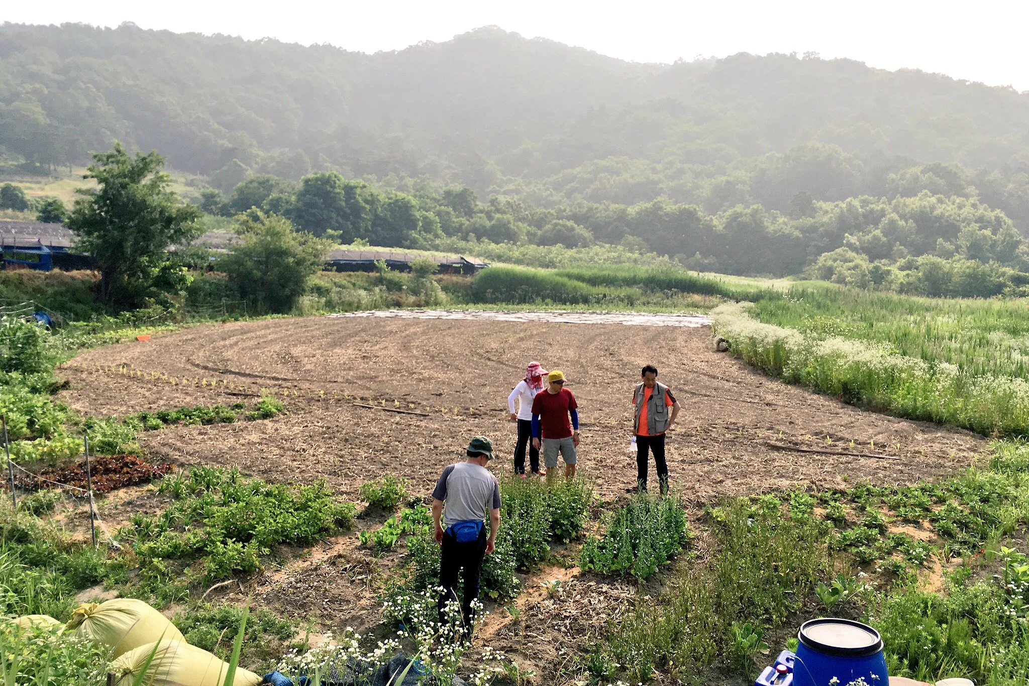 [Exploring Korea] 땅으로 돌아가다
