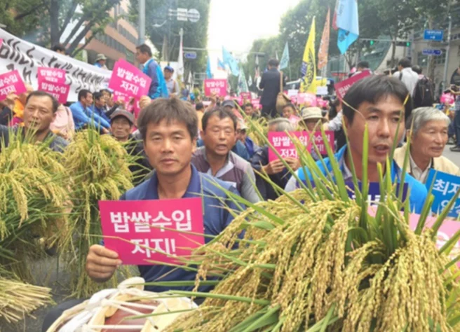 [식량주권과 농업] 쌀값폭락과 통일쌀 보내기 운동