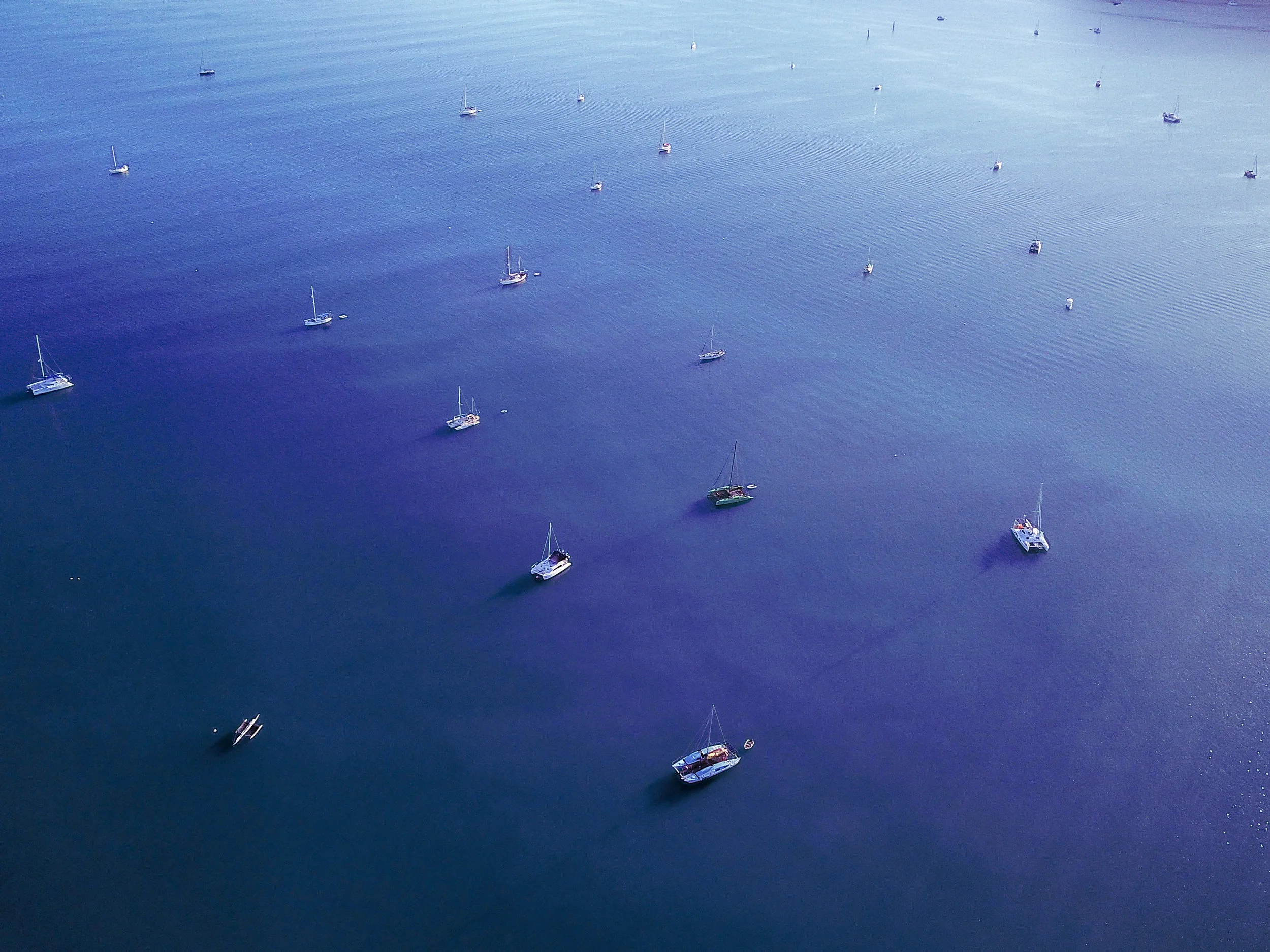 Drone Photo Airlie Boats Australia.jpg