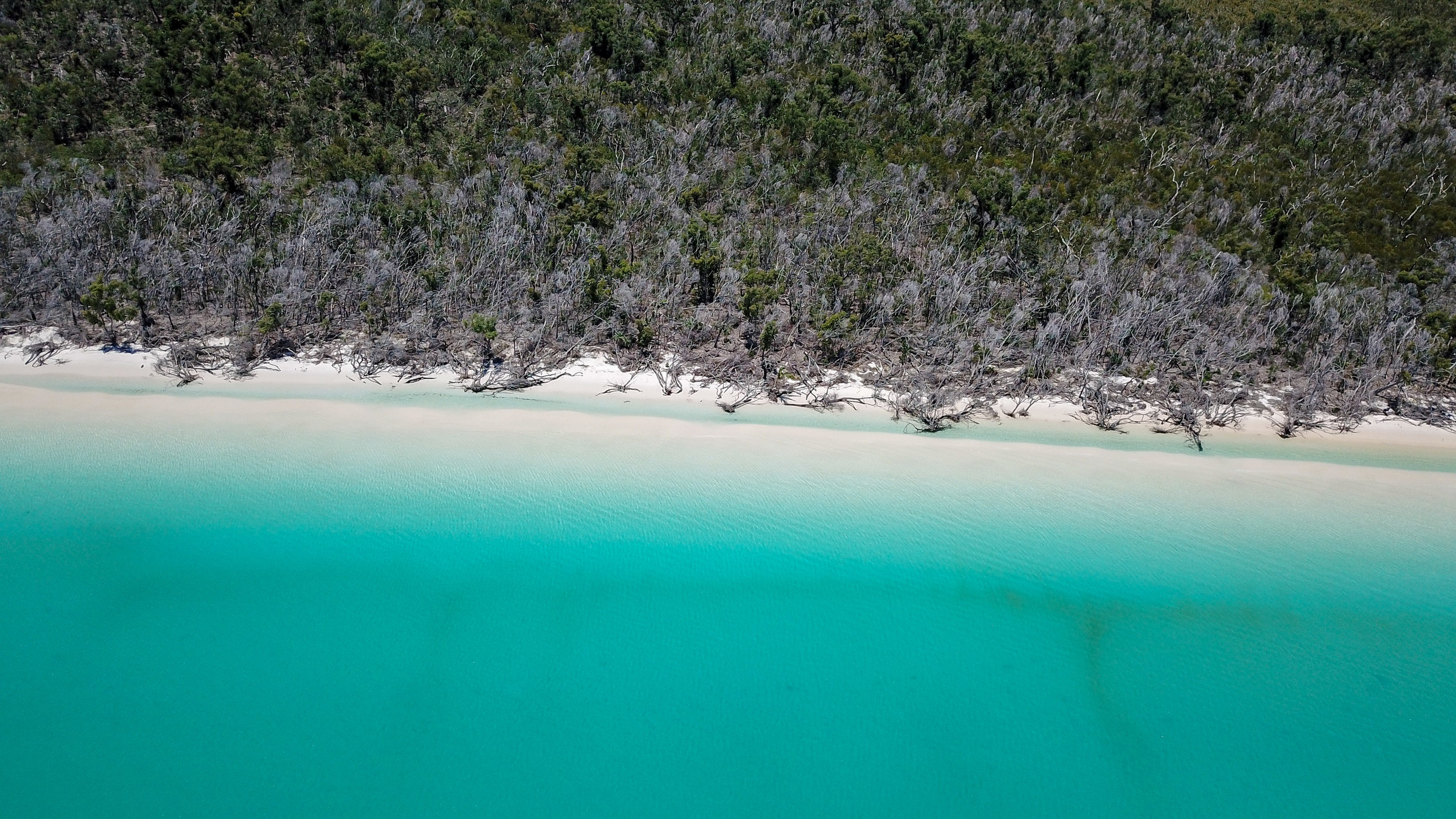 Whitehaven Beach, Queensland, Australia