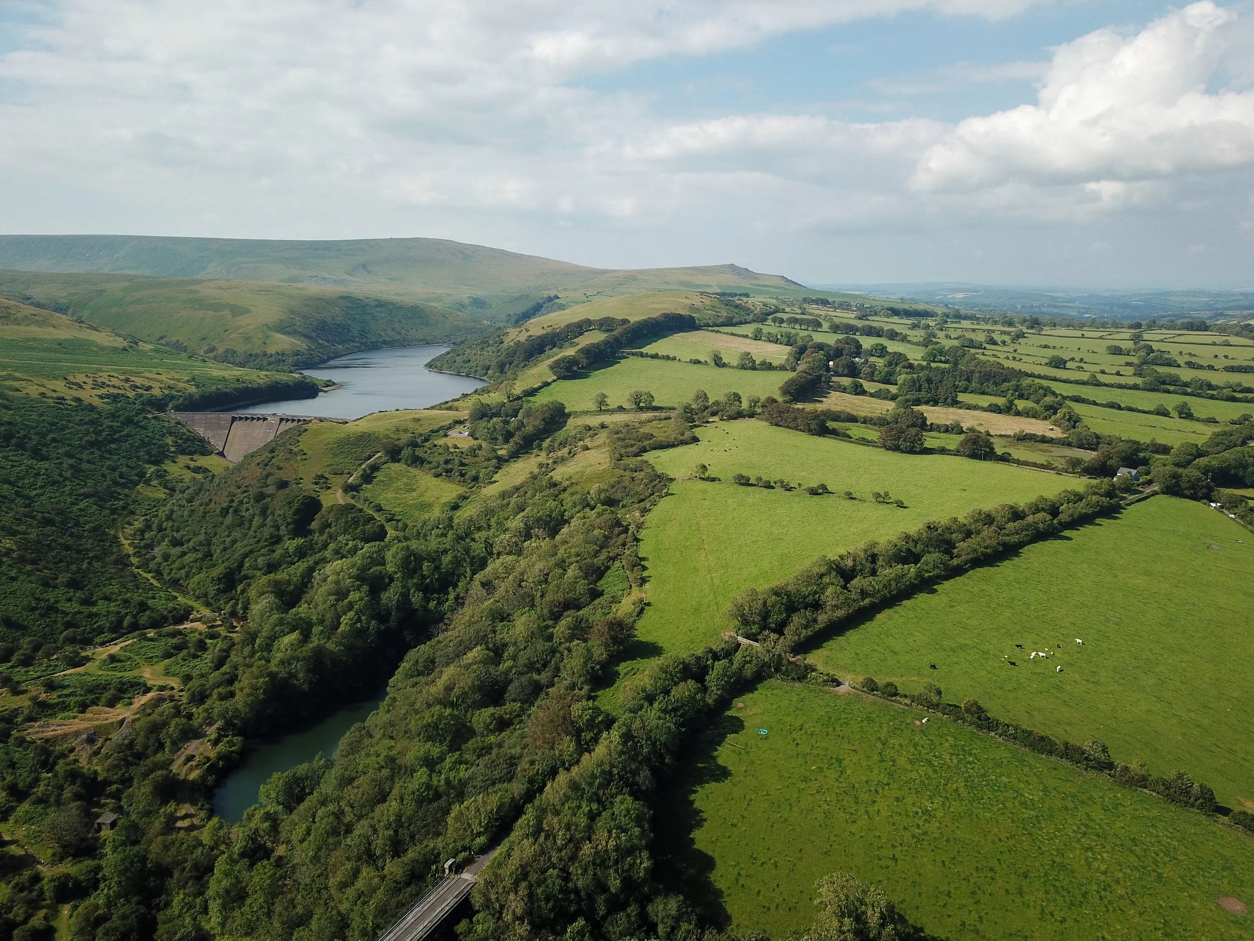 DJI_0021-2.jpg